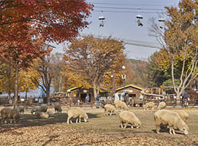 首爾大公園