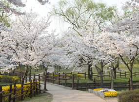 龍山家族公園