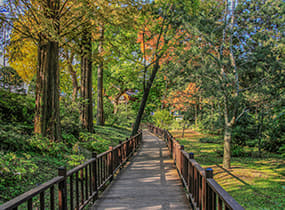 洪陵林(洪陵樹木園)