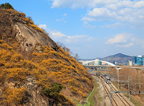 鷹峰山