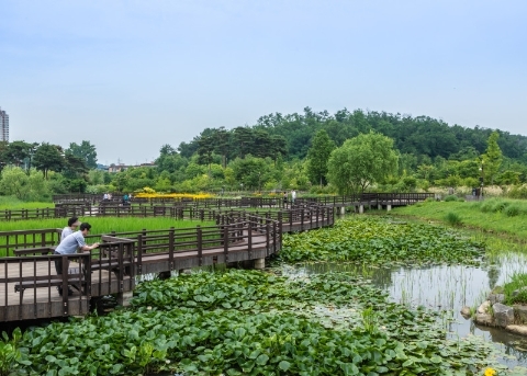 碧綠樹木園