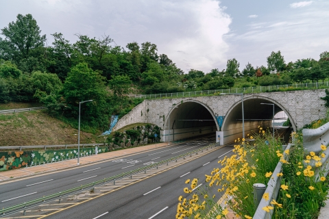 芝陽山