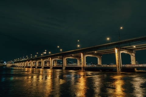 盤浦大橋夜景