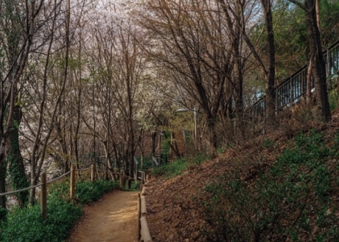 霜草公園