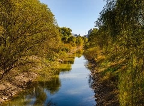 汝矣島賽江生態公園