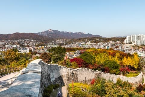 【家族路線】駱山城郭