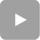 Youtube Logo Icon